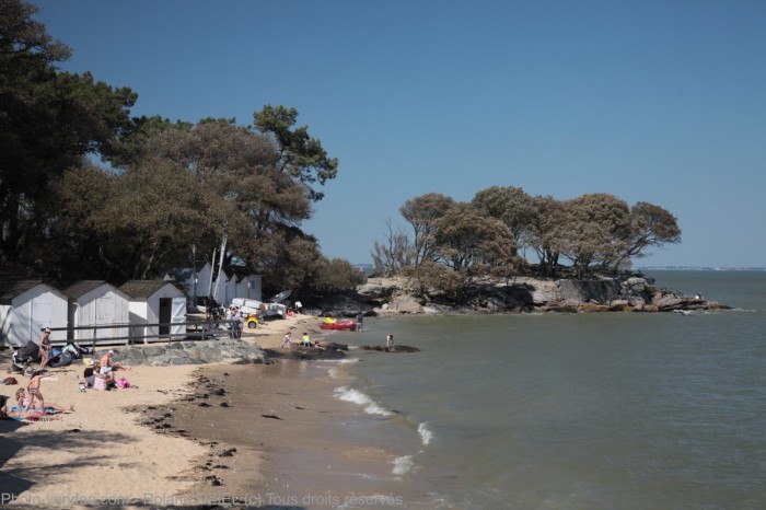 noirmoutier bois de la chaize